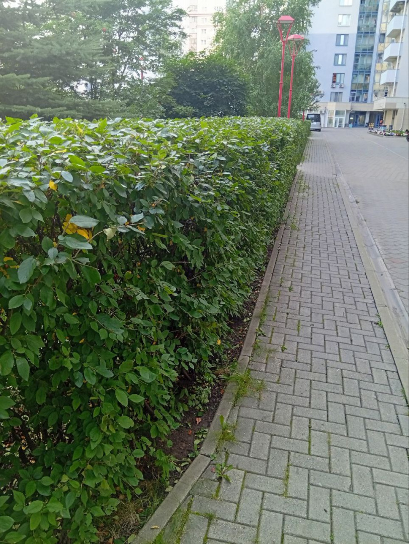 5237695219015743014 (1).jpg
