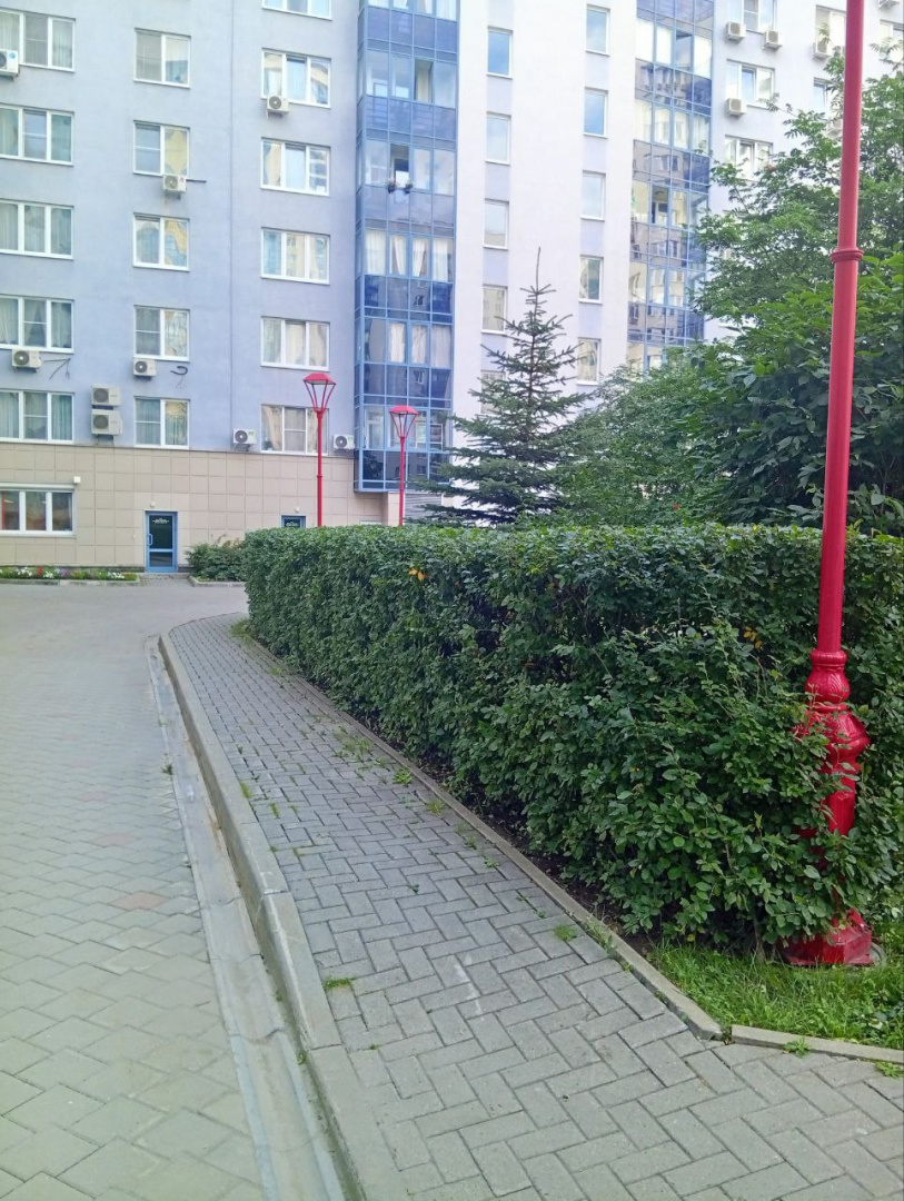 5237695219015743015 (1).jpg